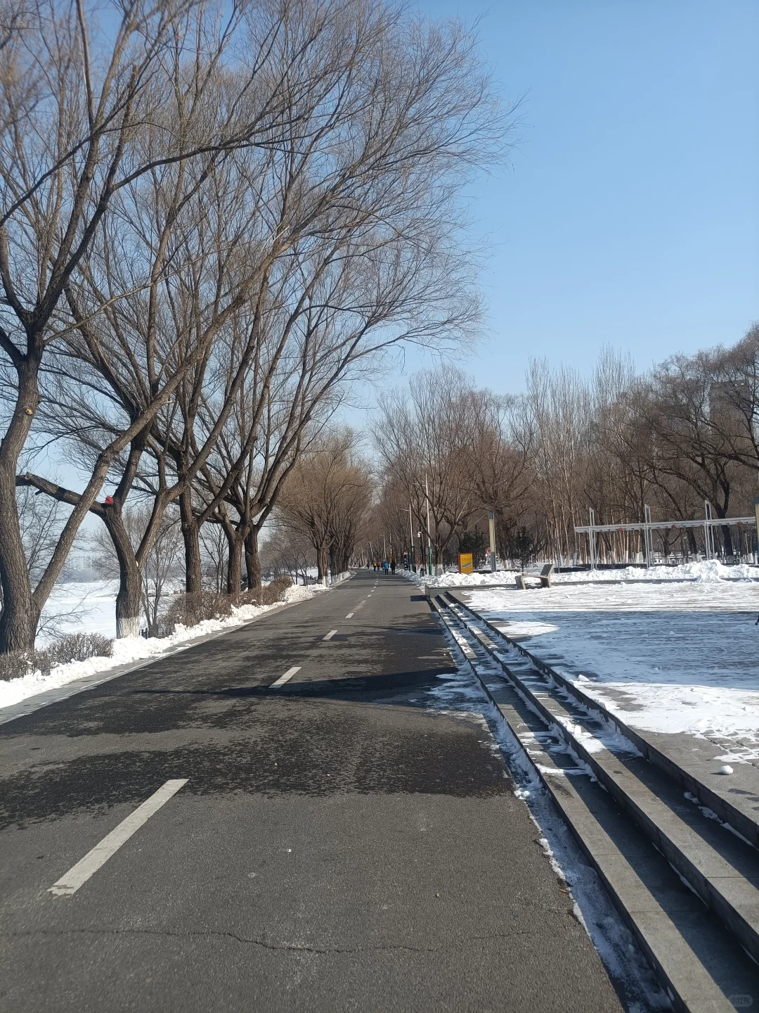 同一个地点拍照记录春夏秋冬2月10日