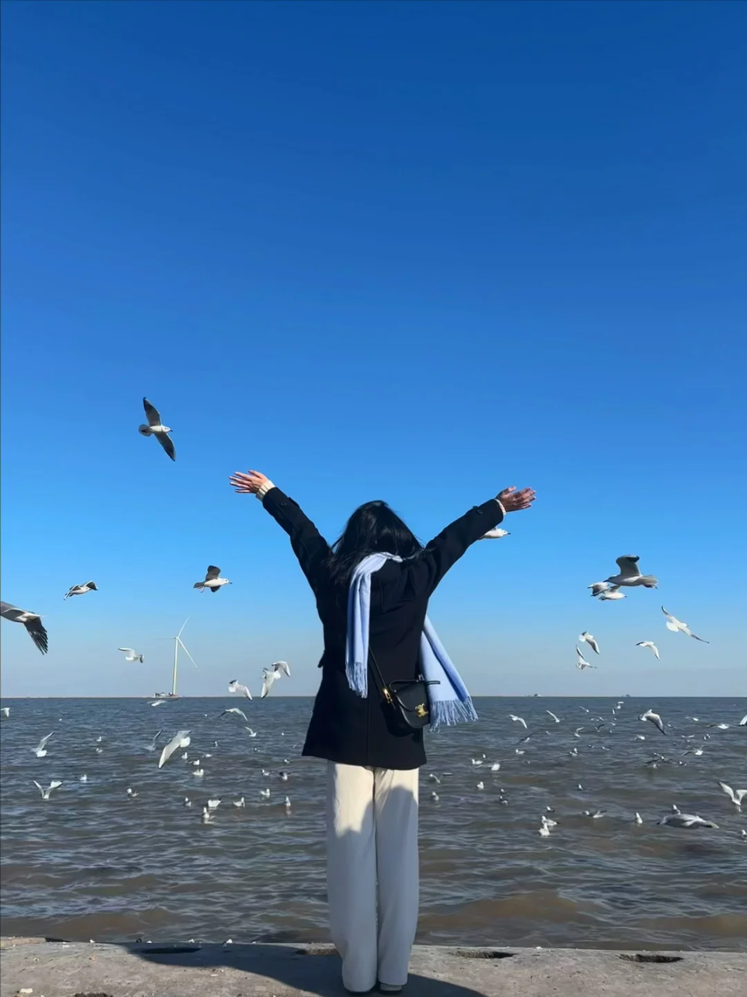 天津·东疆亲海公园🌊一起去码头整点薯条