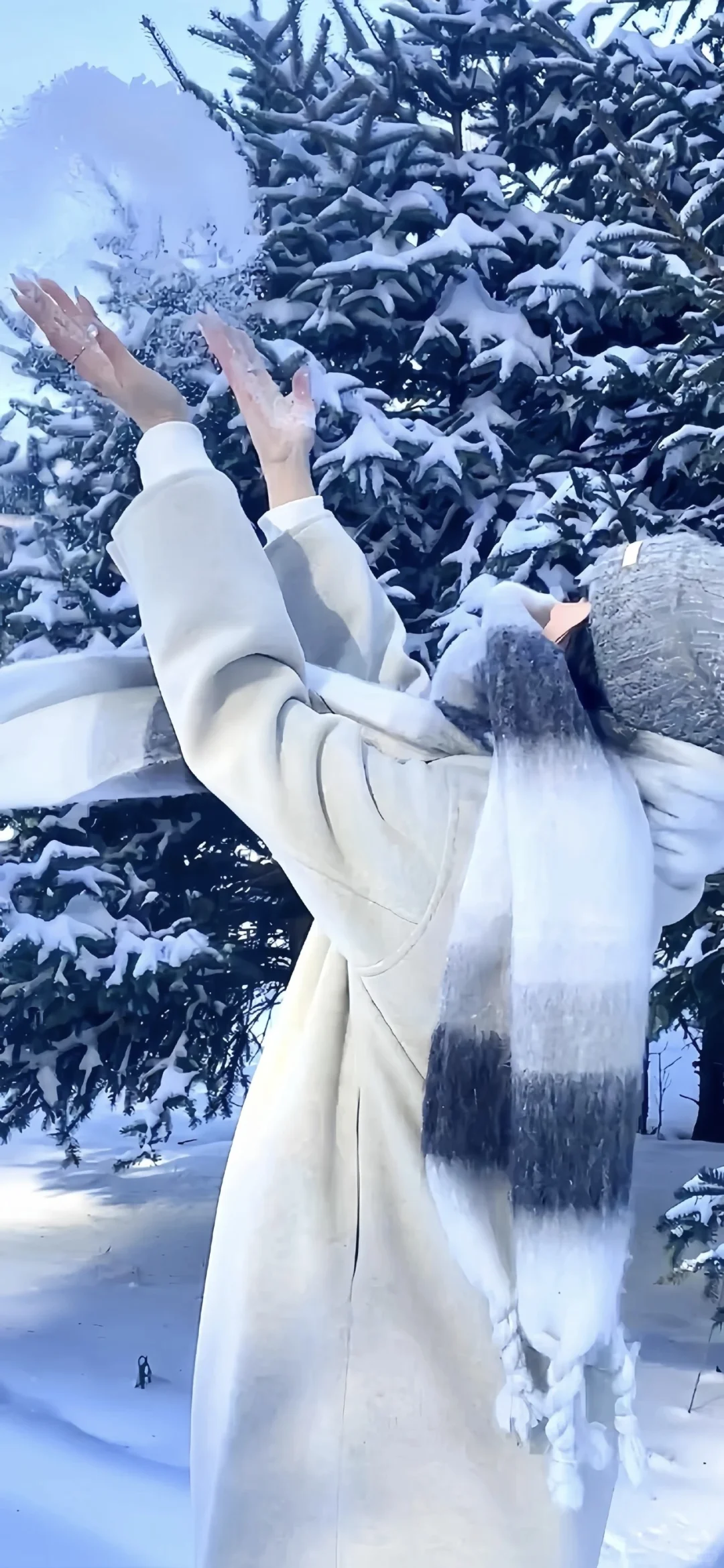 壁纸 | 丰富一下手机壁纸!