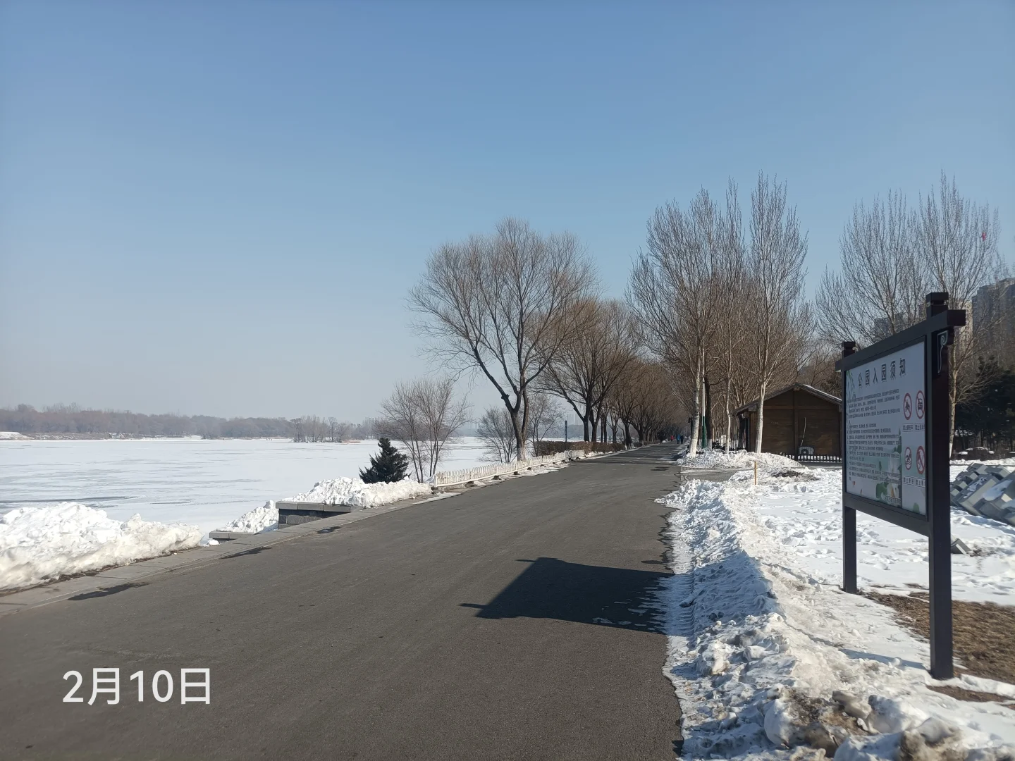 同一个地点拍照记录春夏秋冬2月10日