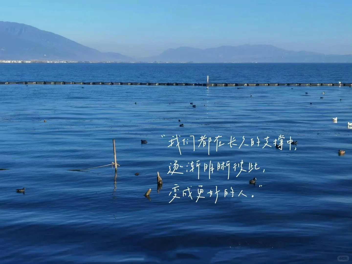 考公人专用ipad壁纸背景图⭐✨(第三弹)
