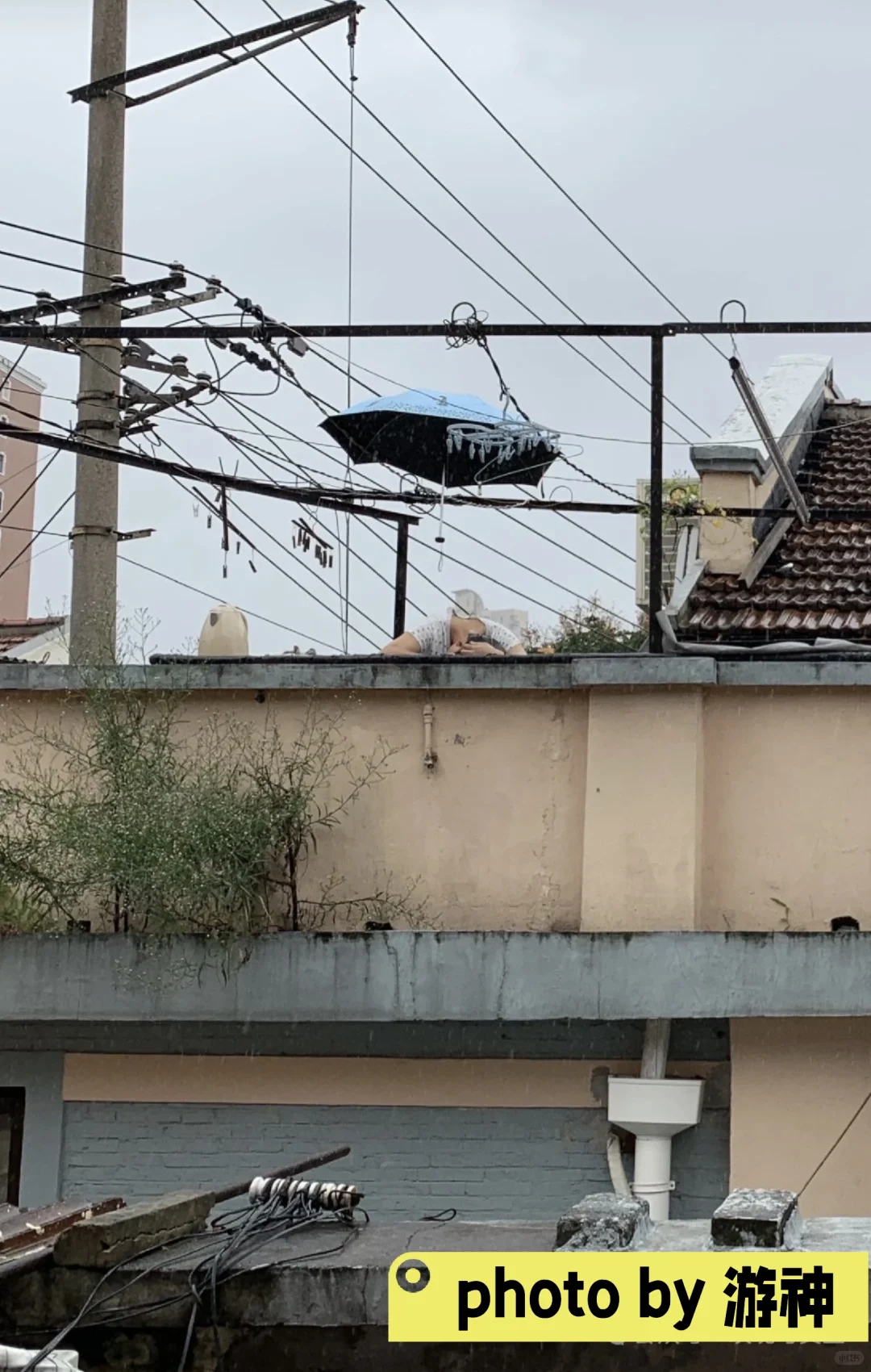 玫小姐的新发型和愚园路上的一家裁缝店