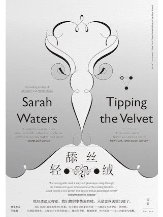 《轻舔丝绒》一本大胆的女性向书籍