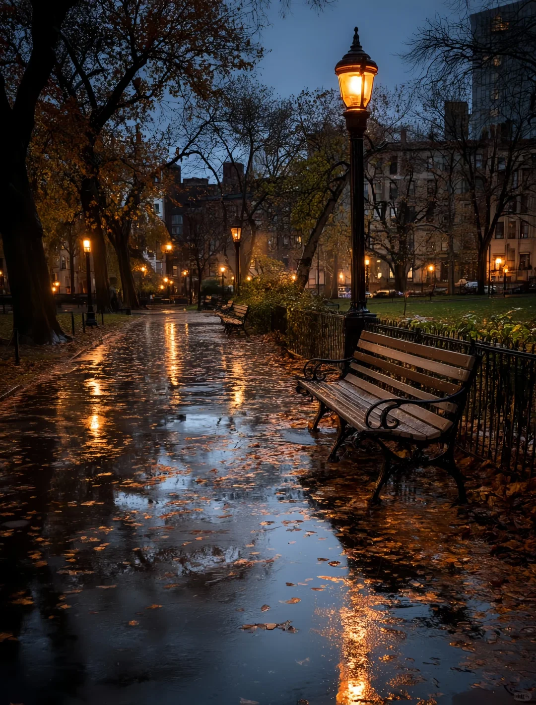 Harvard的雨后秋天，美得不费吹灰之力