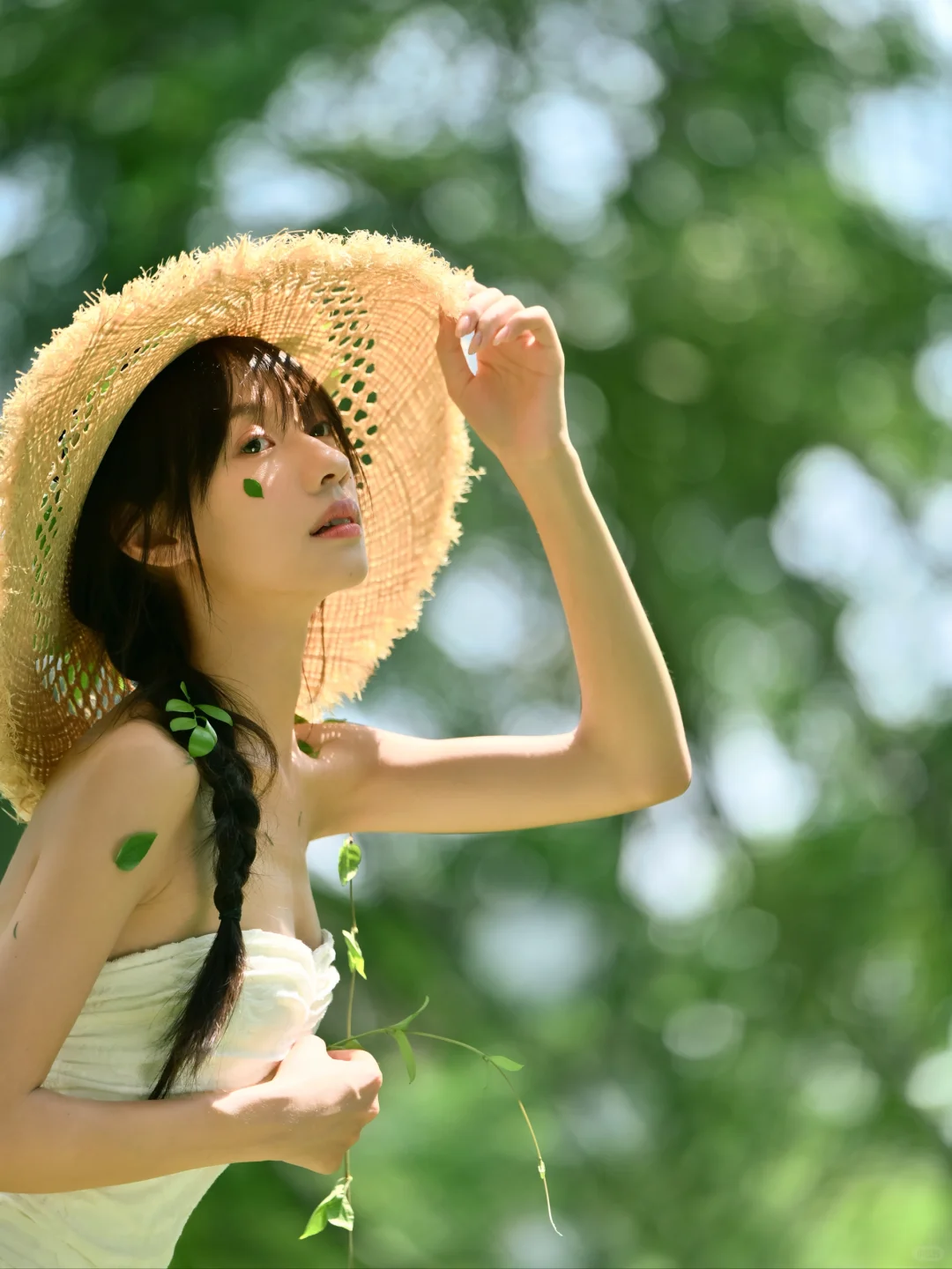 树的脉络蔓延进我🌿