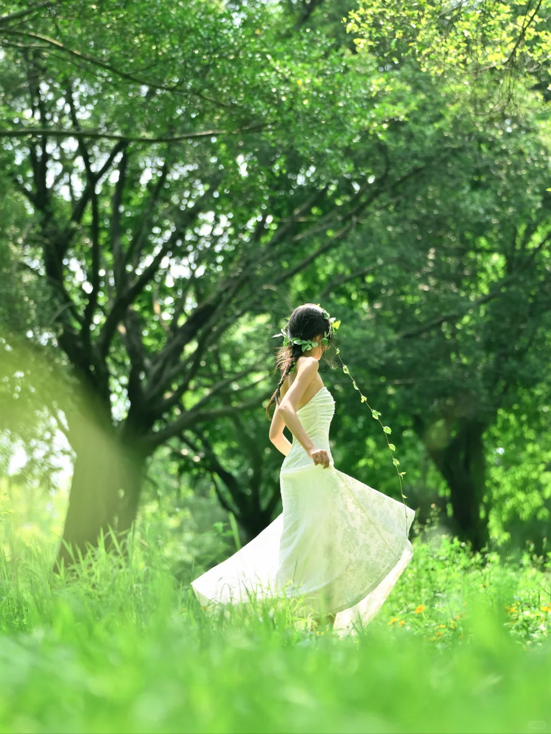 树的脉络蔓延进我🌿