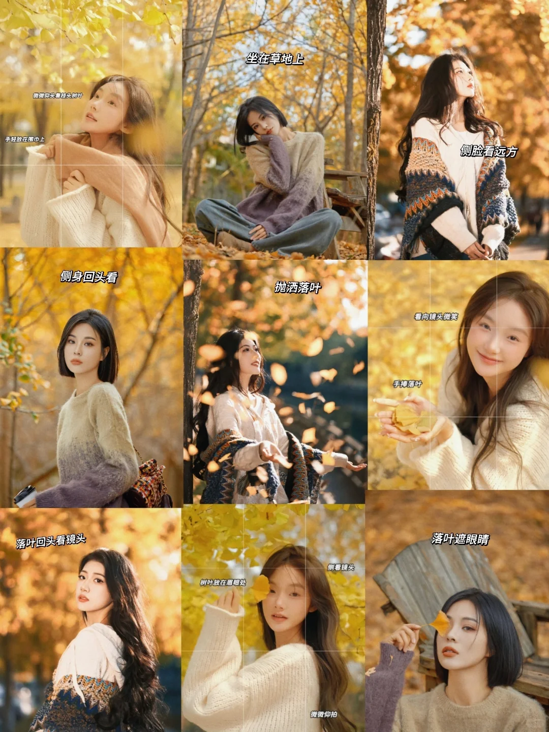 秋冬藏在落叶里🍂枫叶银杏拍照一起来🍁