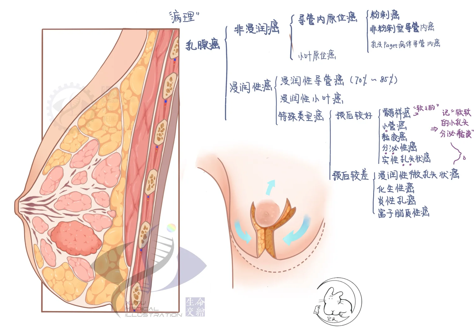 软软的小乳头分泌粘液 无水咸蛋小阴道