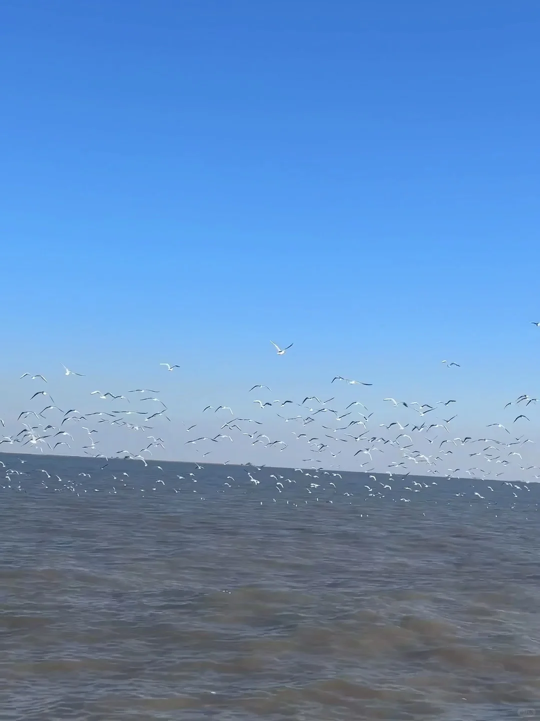 天津·东疆亲海公园🌊一起去码头整点薯条