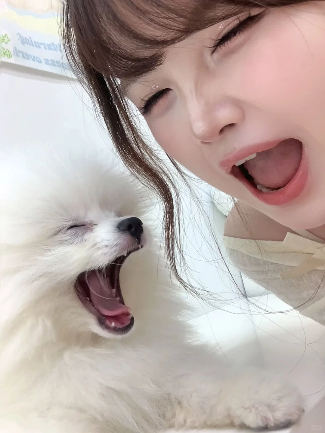一些没发过的生活感照片和live ૮˶ ˃ ᵕ ・ಣ