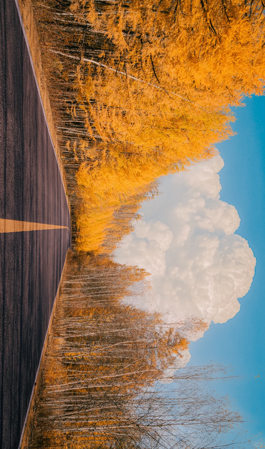 十二张全屏大兴安岭绝色秋日!附路线!!