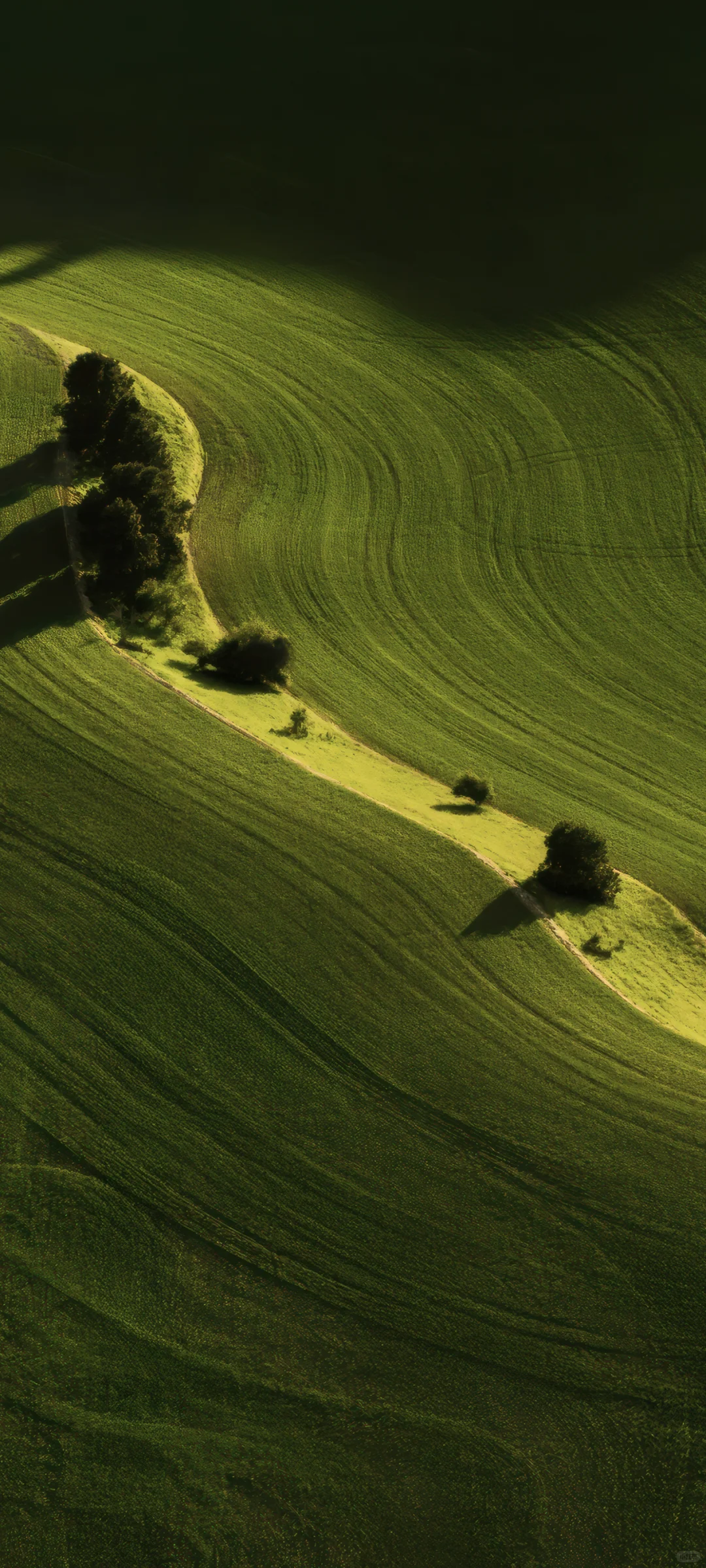 vivo壁纸 originos6