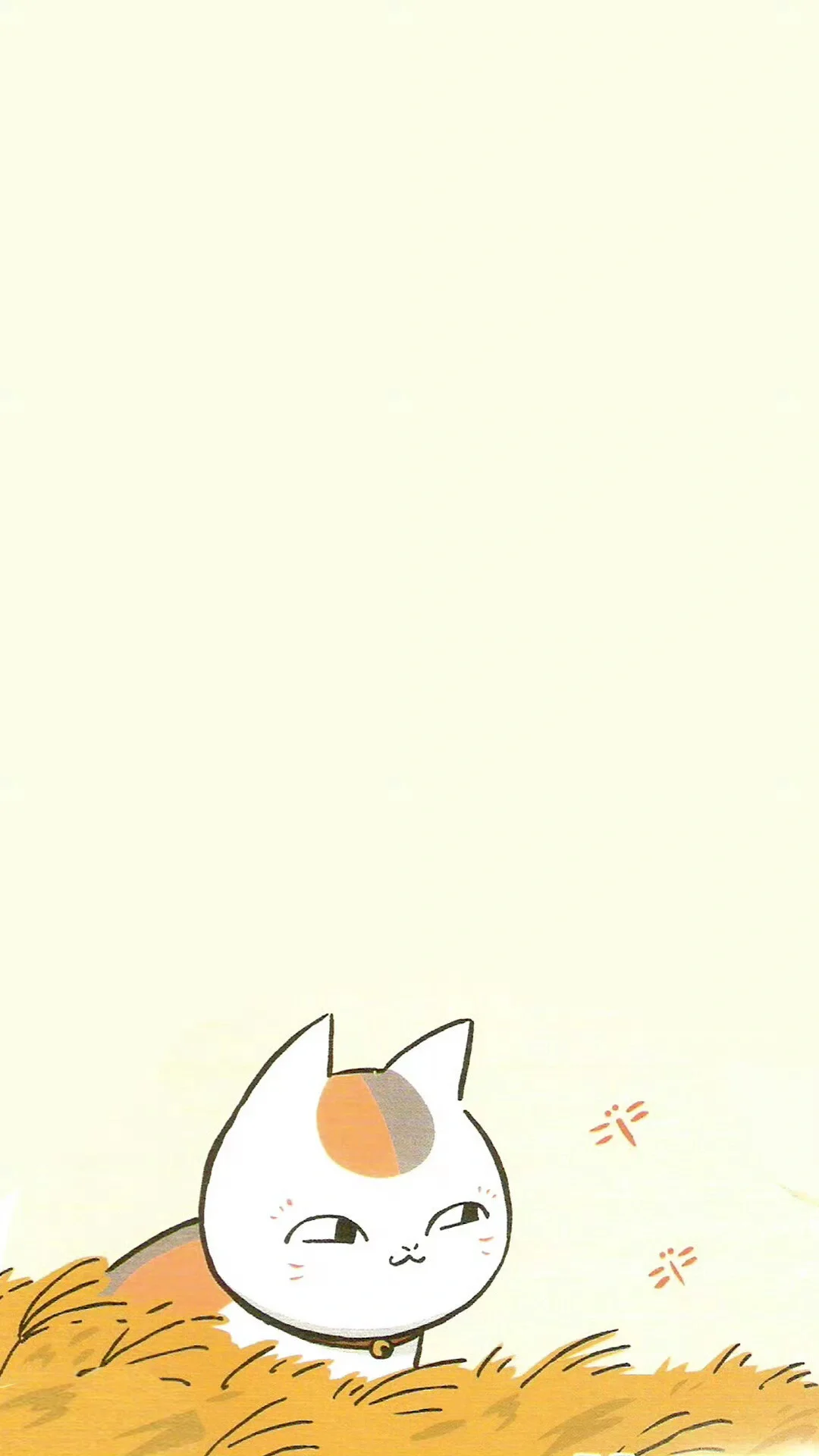 猫咪老师可爱壁纸