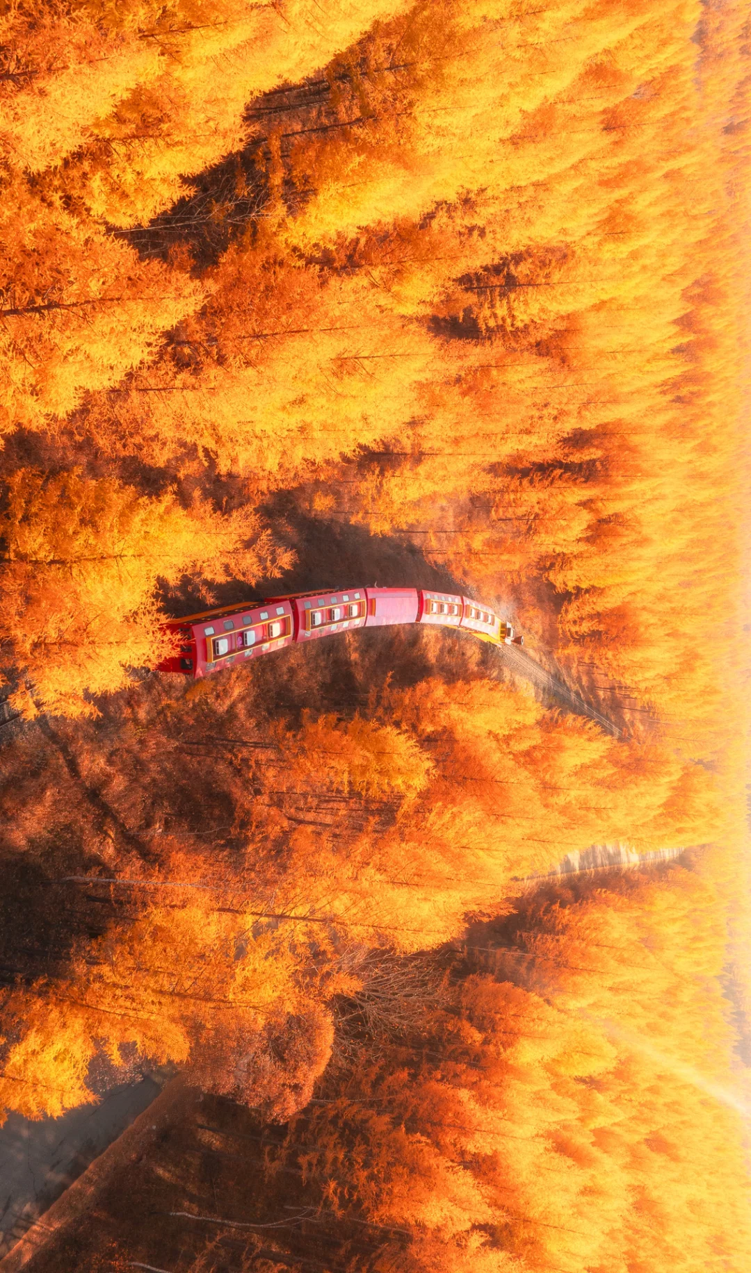 十二张全屏大兴安岭绝色秋日!附路线!!