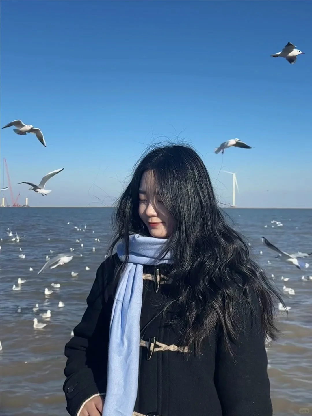 天津·东疆亲海公园🌊一起去码头整点薯条