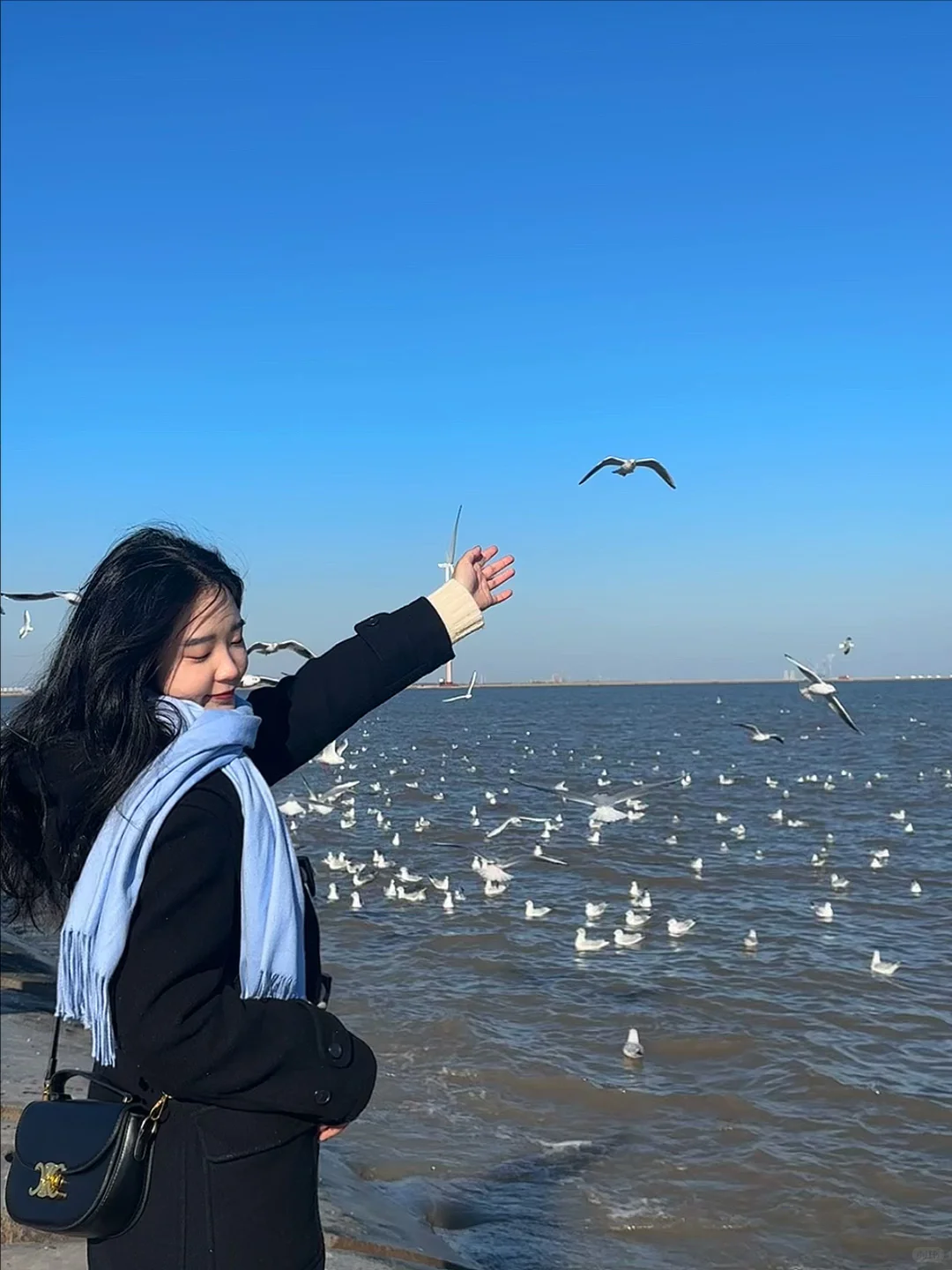 天津·东疆亲海公园🌊一起去码头整点薯条