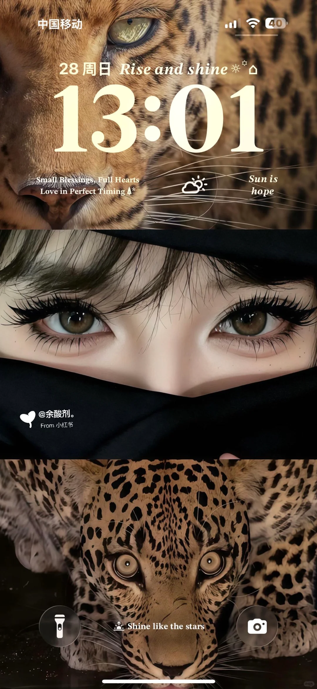 怎么会有这么好看的壁纸啊!>_<