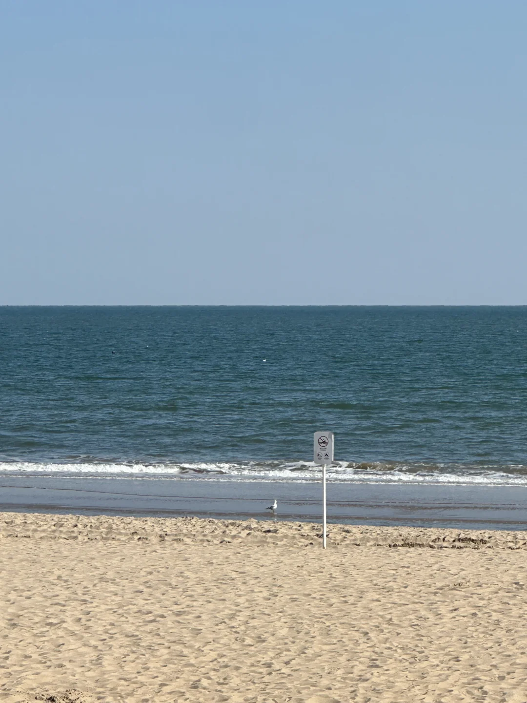 170 125斤微胖穿搭|秋天的海边咖啡☕️