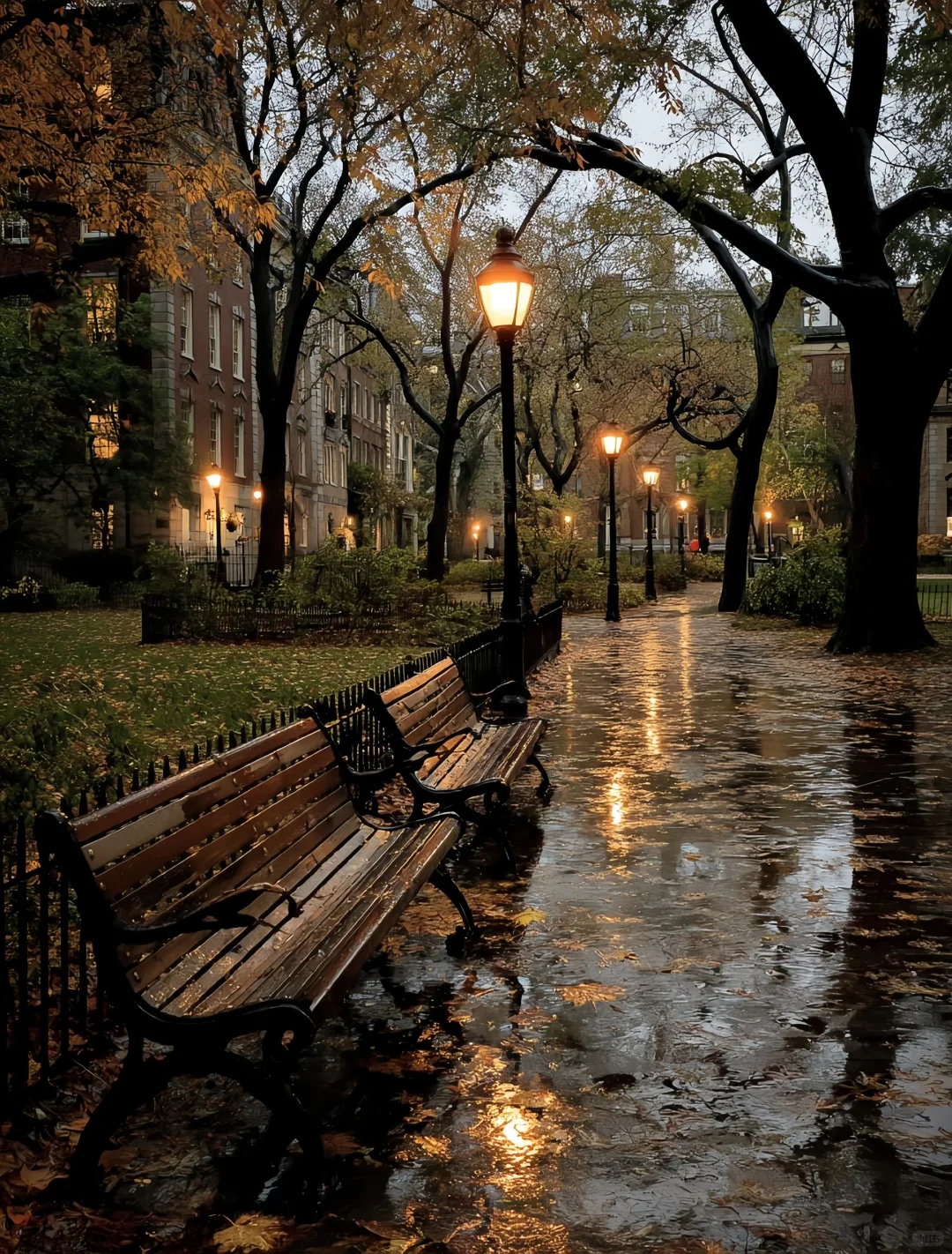 Harvard的雨后秋天,美得不费吹灰之力