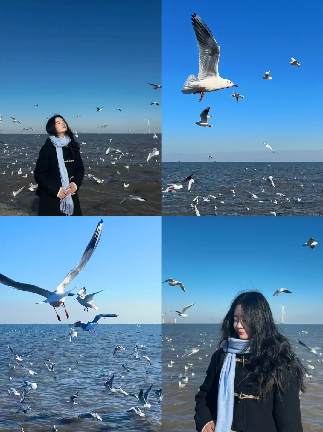 天津·东疆亲海公园🌊一起去码头整点薯条