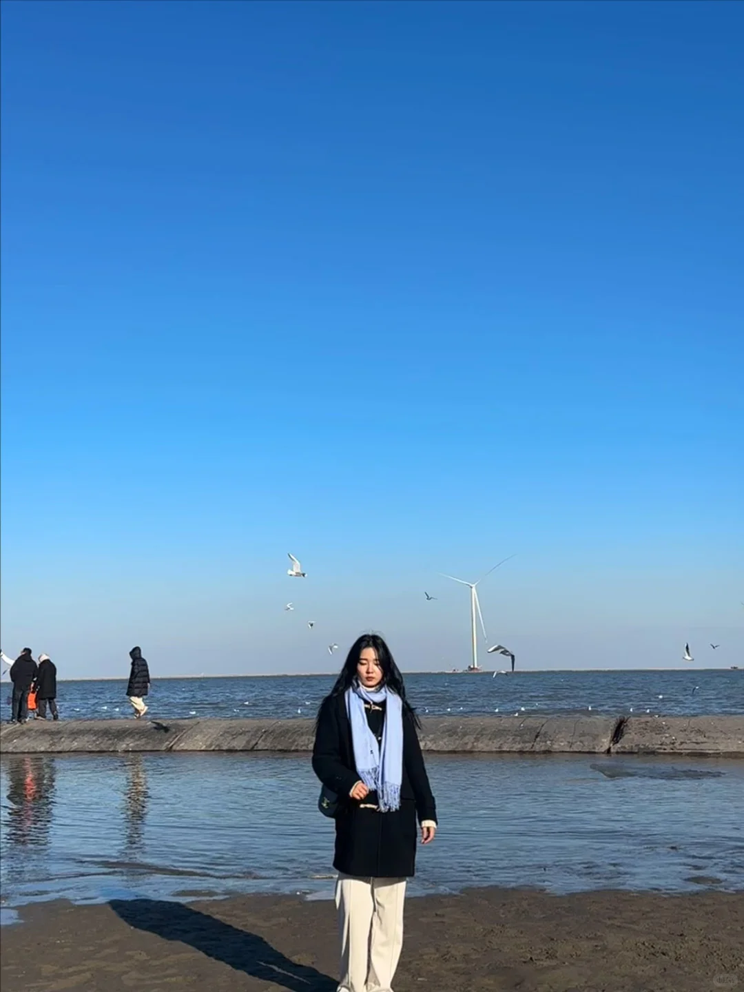 天津·东疆亲海公园🌊一起去码头整点薯条