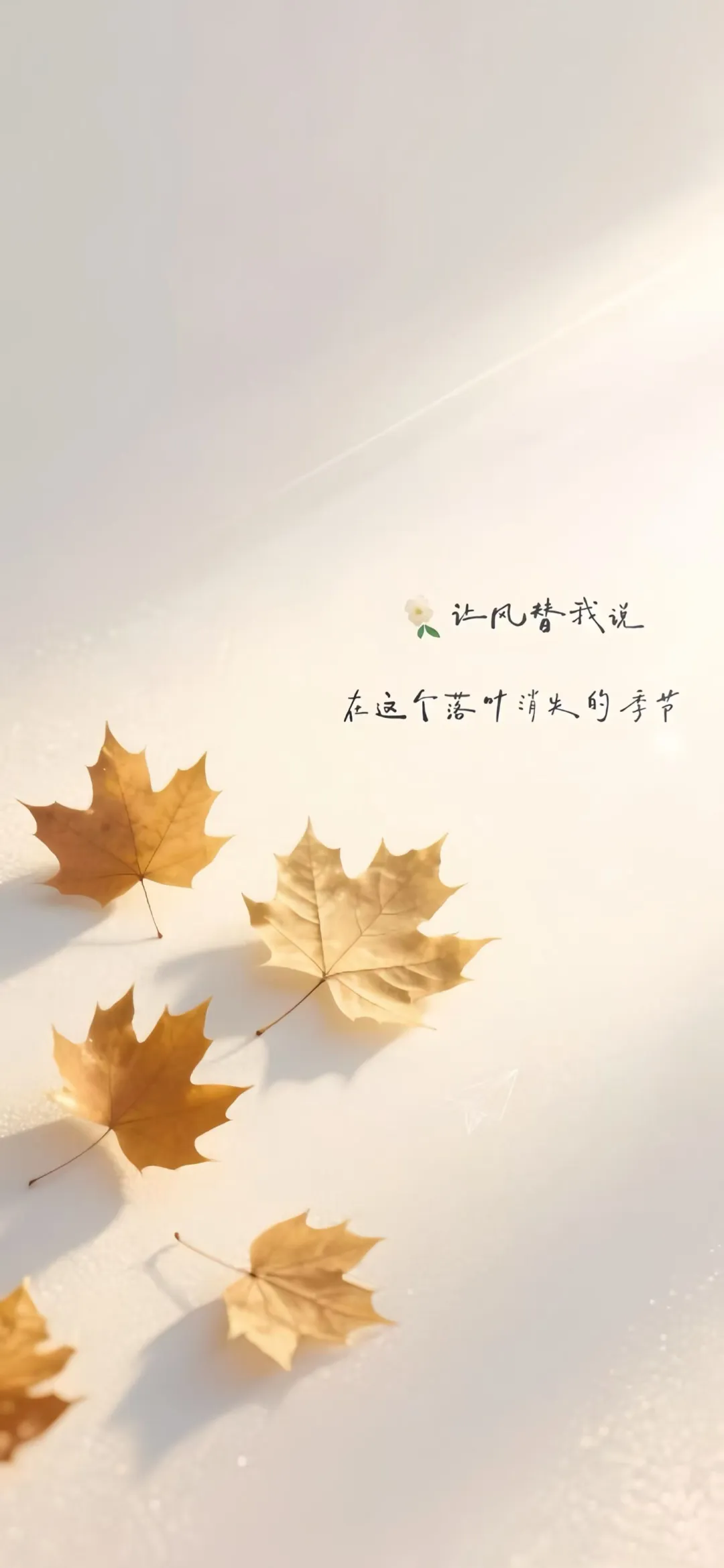 一叶知秋，秋天的壁纸请收下
