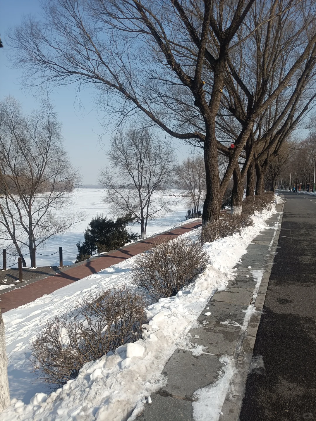 同一个地点拍照记录春夏秋冬2月10日