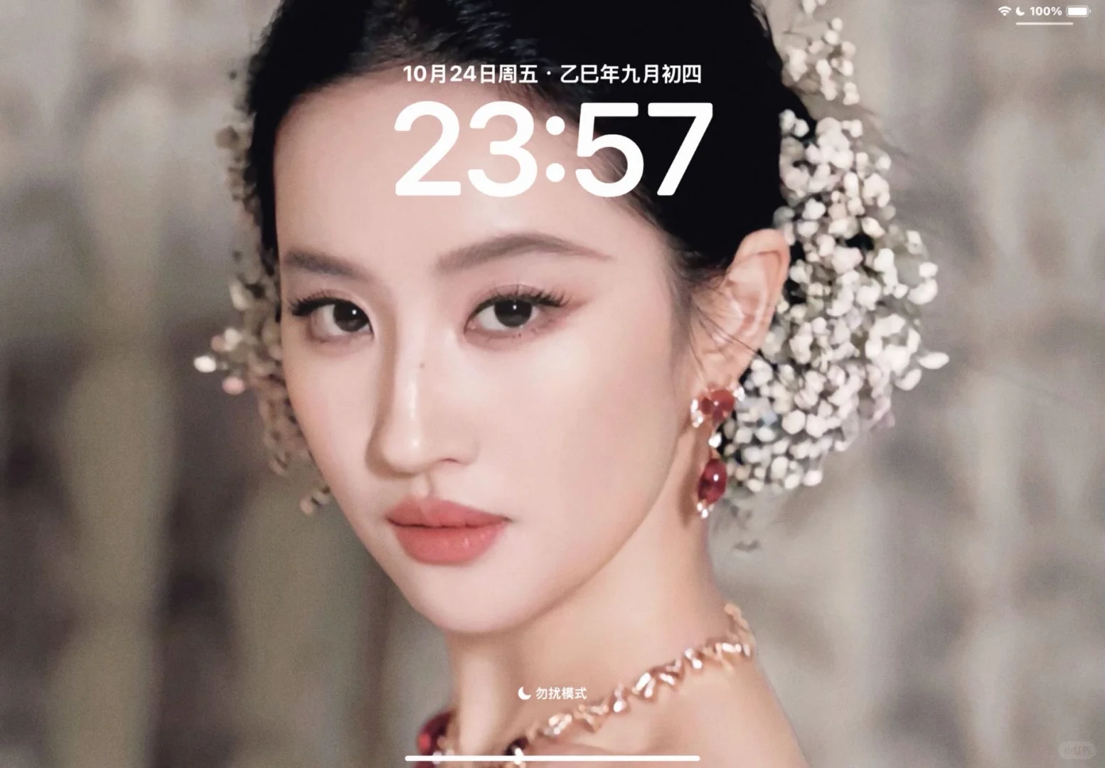 ipad 壁纸｜好美啊