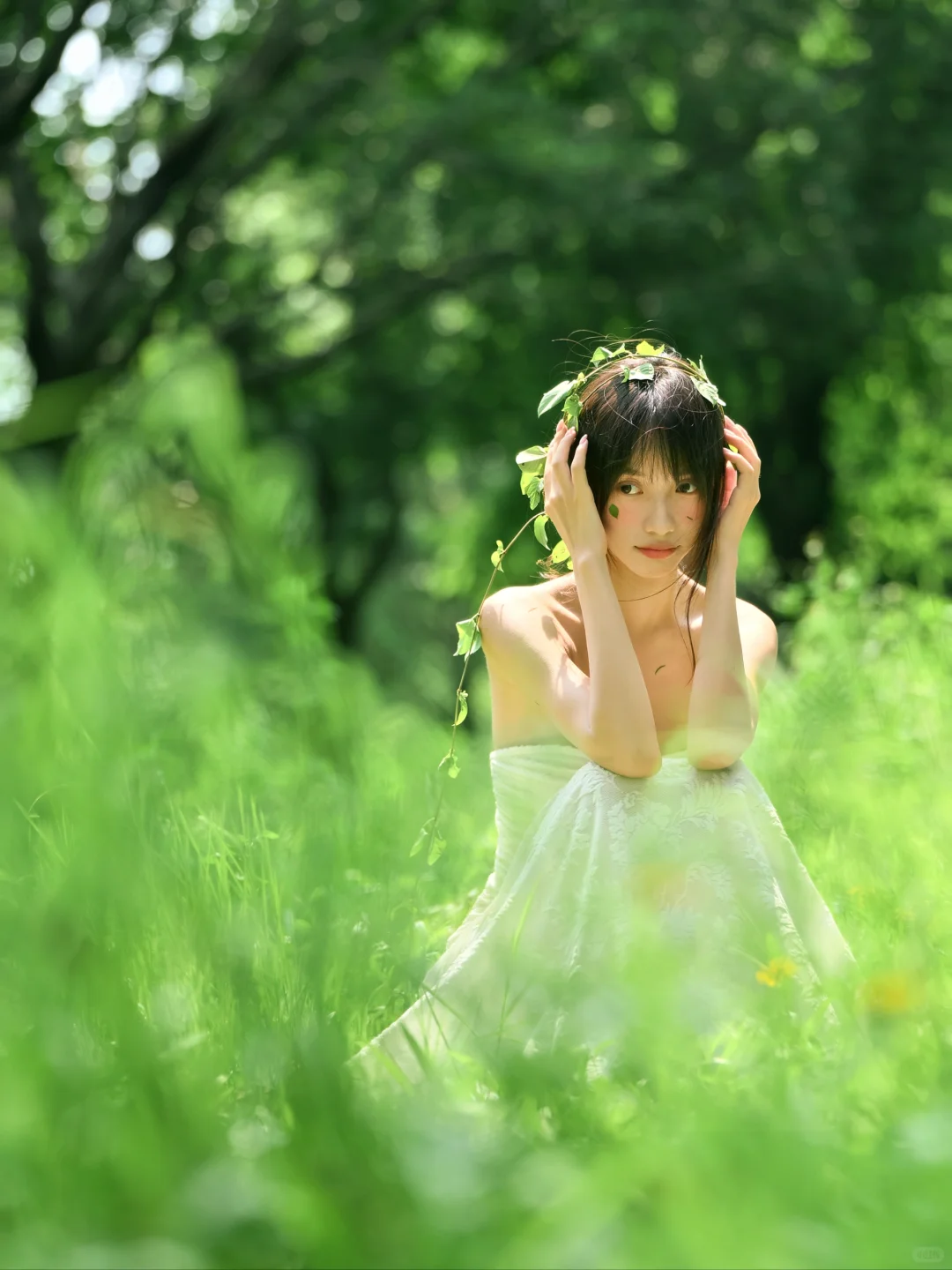 树的脉络蔓延进我🌿