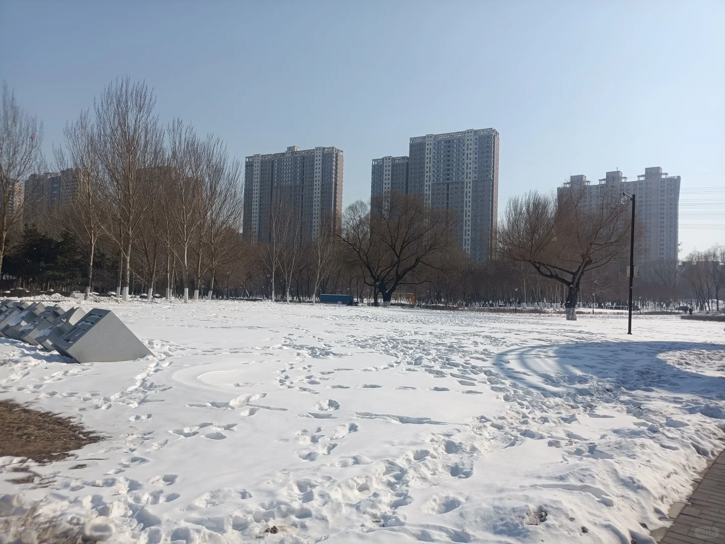 同一个地点拍照记录春夏秋冬2月10日