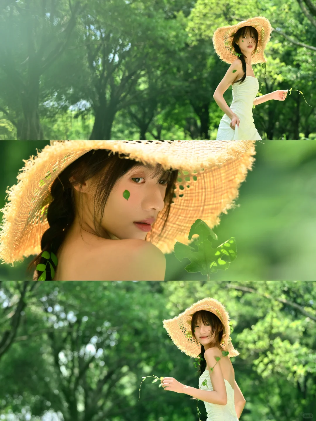 树的脉络蔓延进我🌿