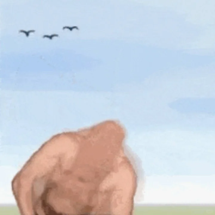 快拿去骚扰npy！！！！！