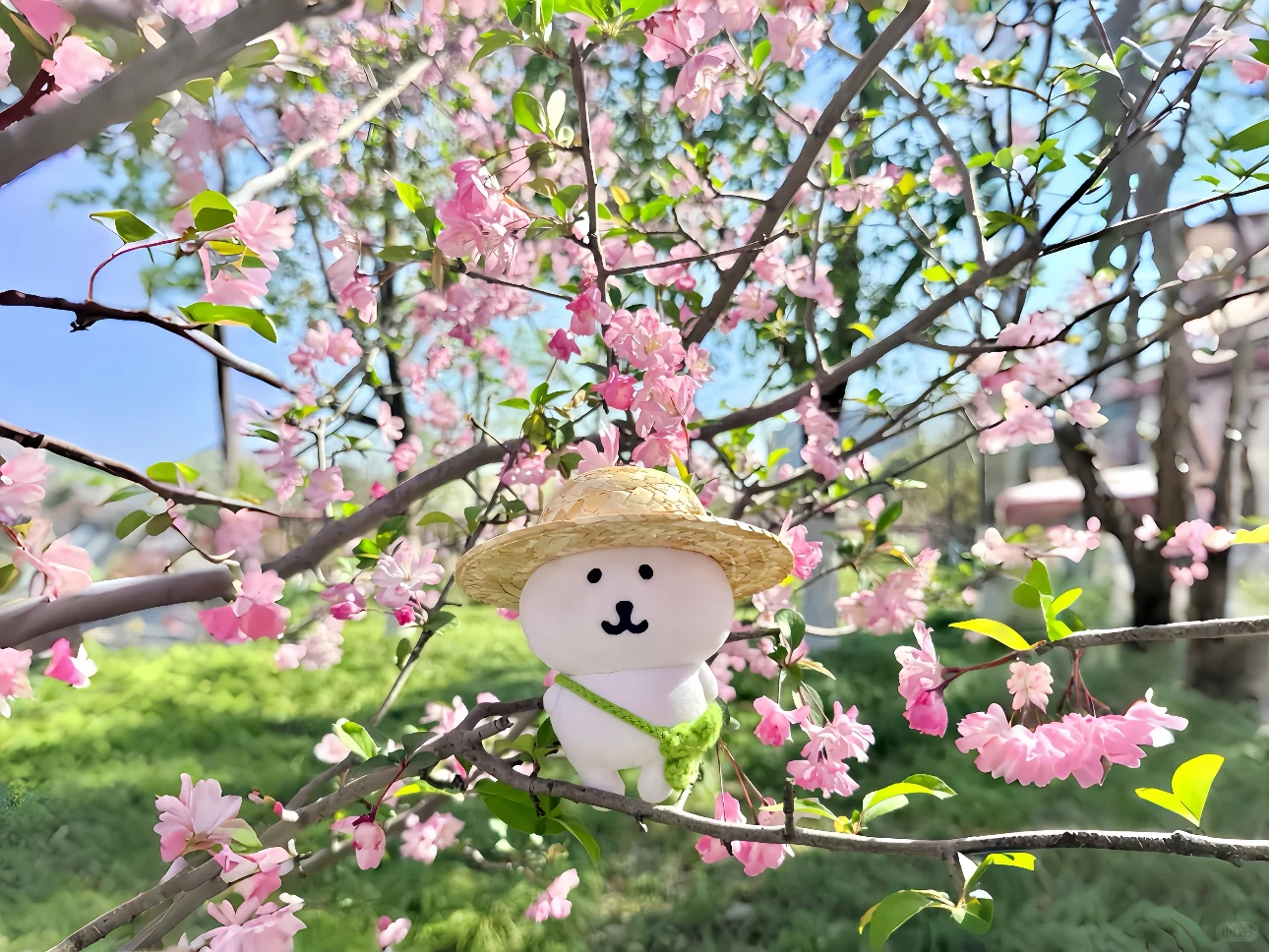 ipad 3D高清壁纸合集3.0