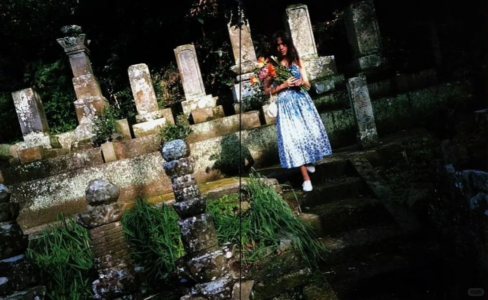 荒木经惟✖️《流奈·天城淫行》