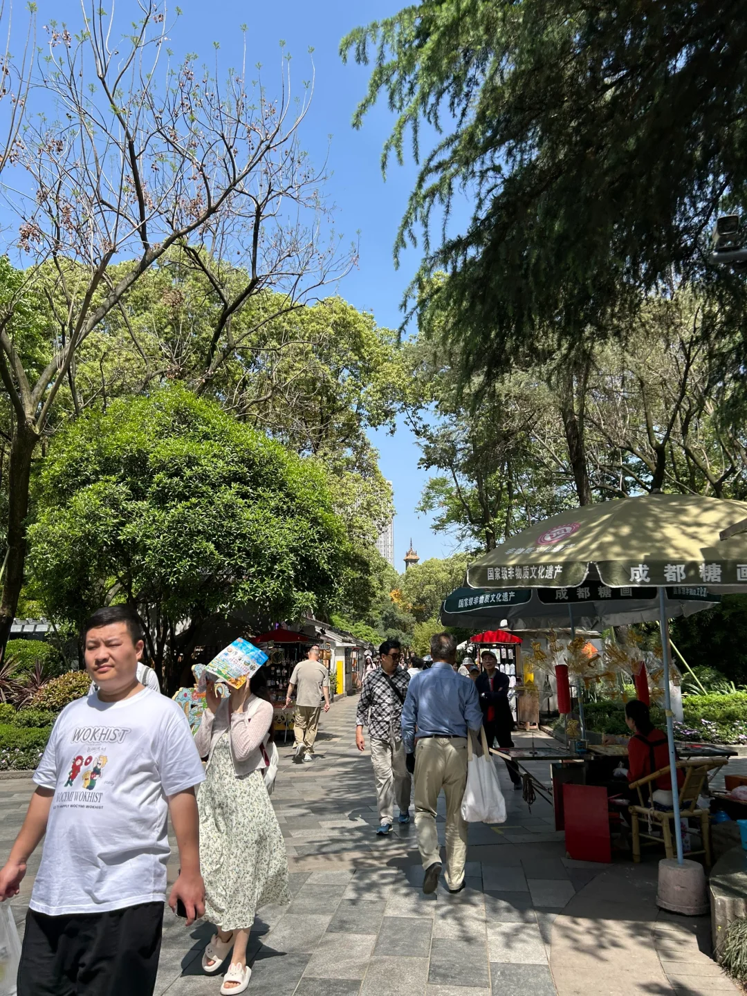 我在阳光下往返于春天