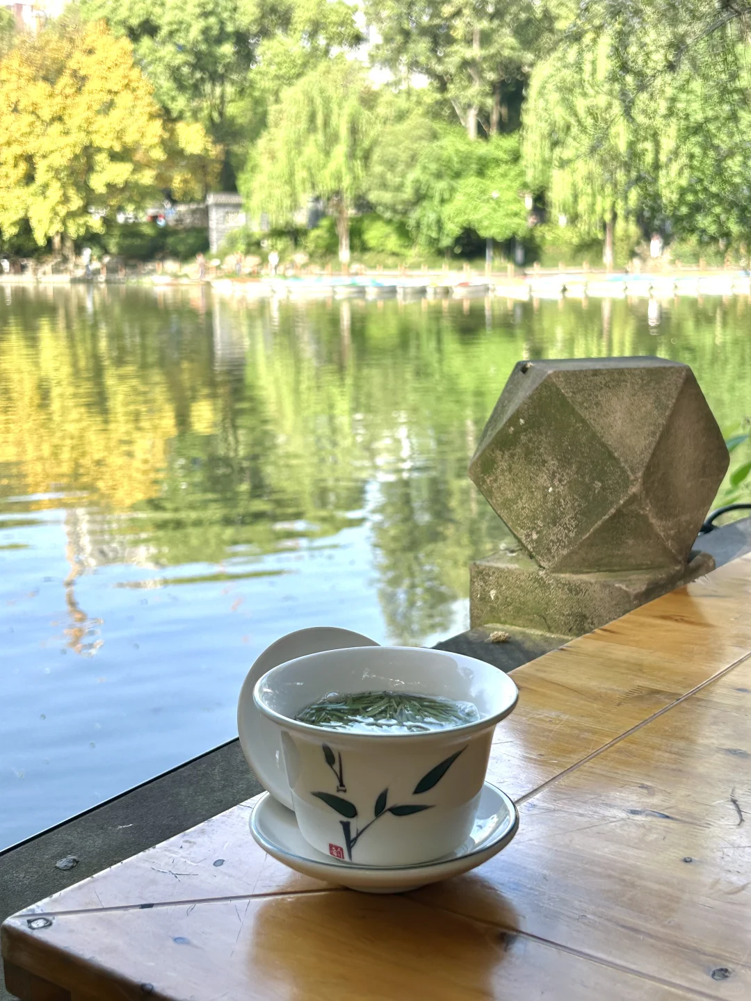 我在阳光下往返于春天