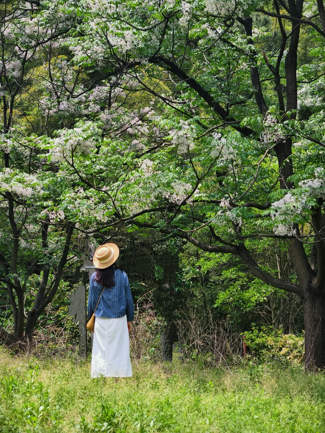 展示一下惊艳四方的背景照吧！