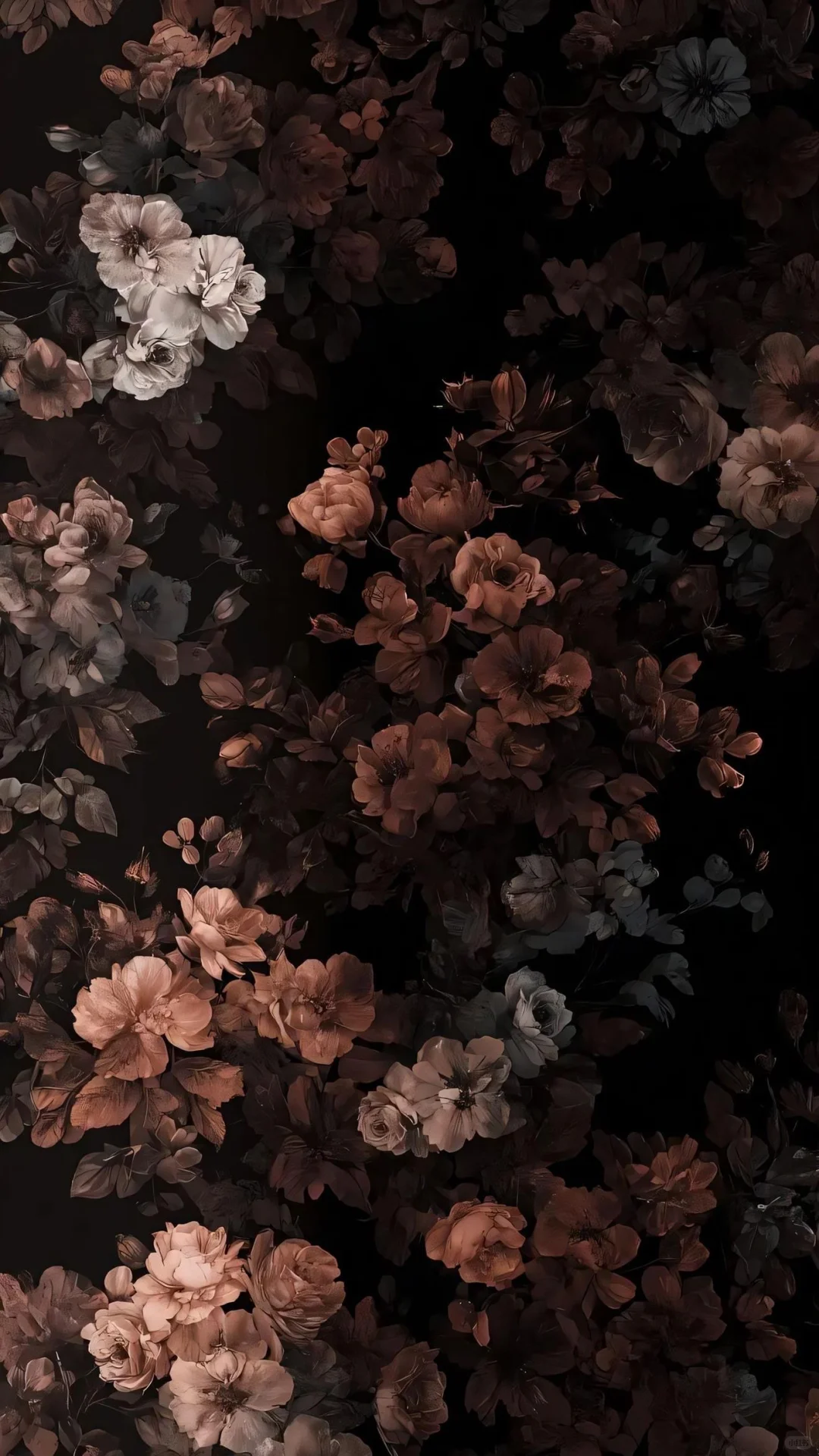 4k超清花朵🌺风景 景深壁纸