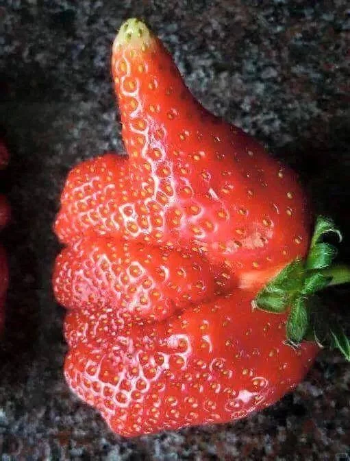 哒咩！！那些个顶级错位图😂