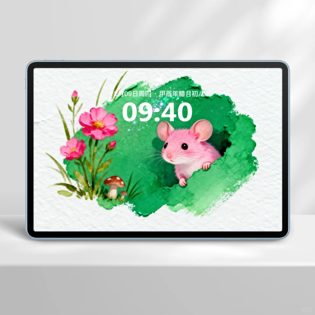 C55|小松鼠平板锁屏壁纸