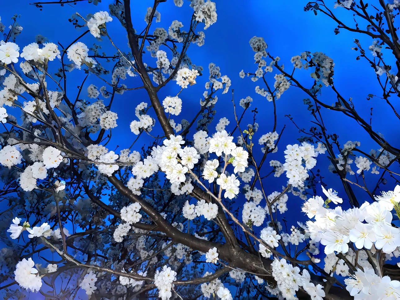 ipad 3D高清壁纸合集3.0