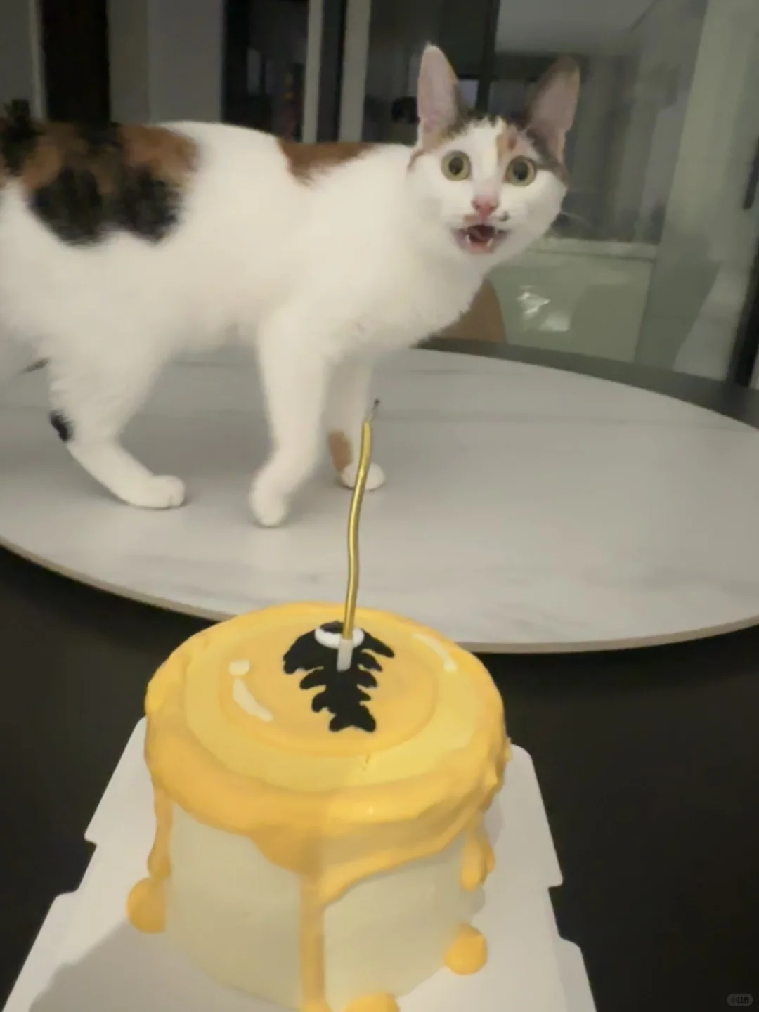 拍了一晚上只产出17s我实在是受不了