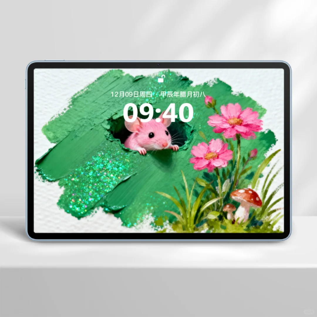 C55|小松鼠平板锁屏壁纸