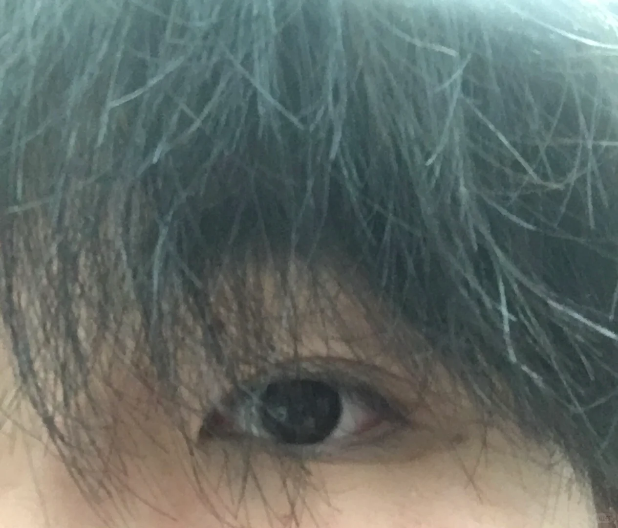 想要一个全是漂亮眼型的评论区