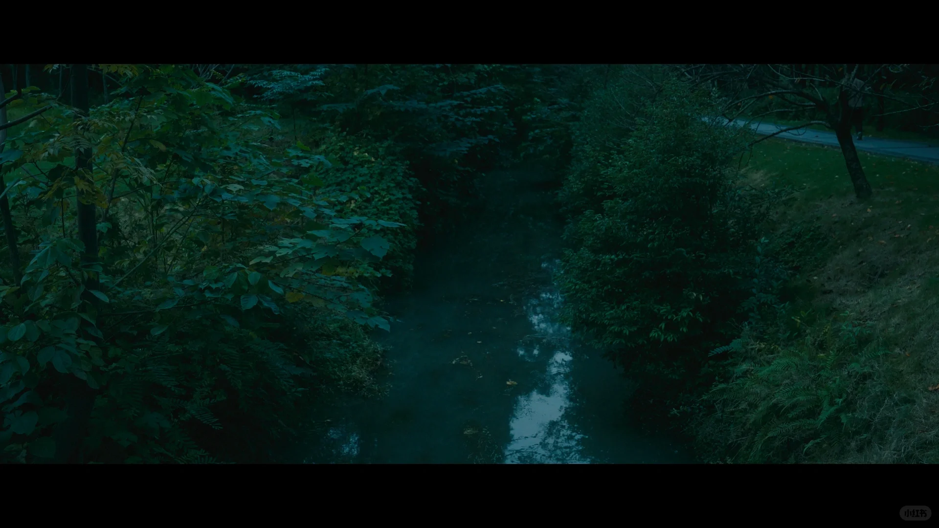 日拍夜仿色练习