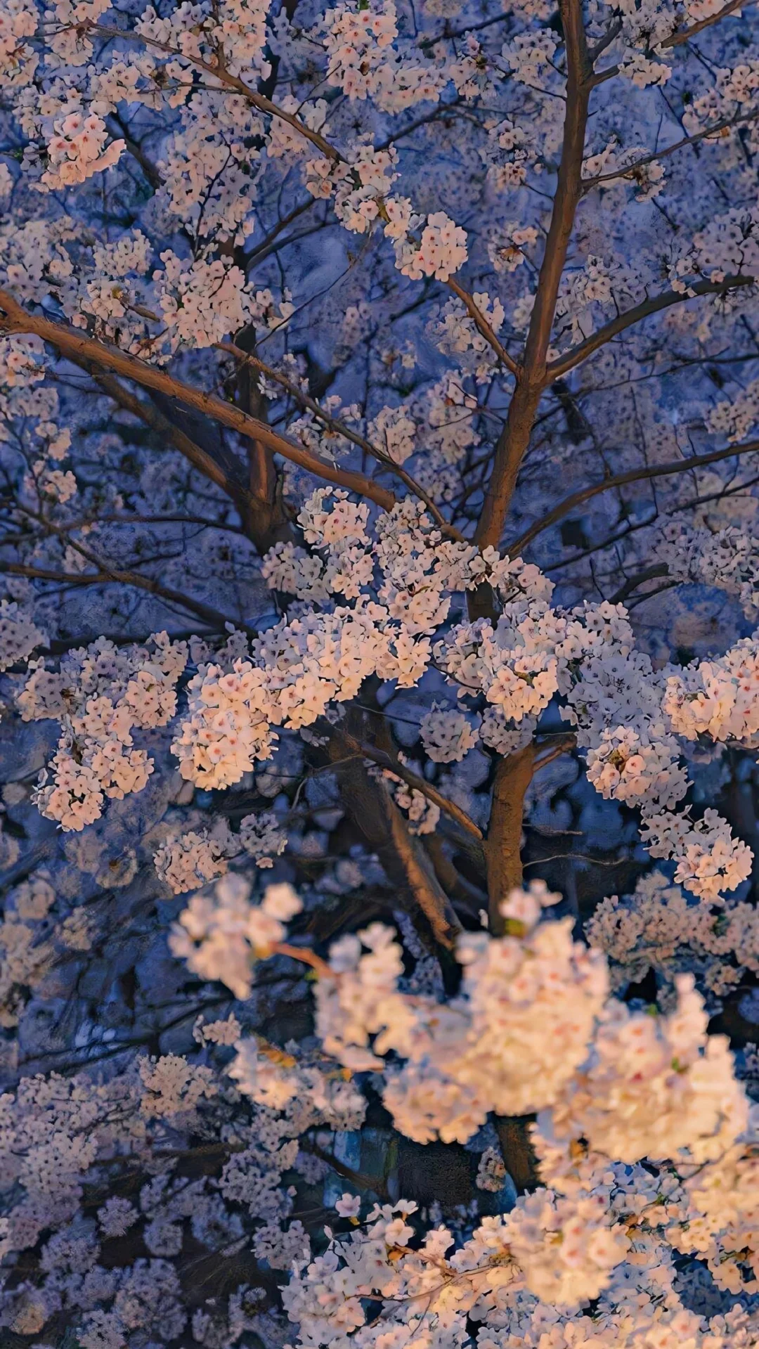 4k超清花朵🌺风景 景深壁纸