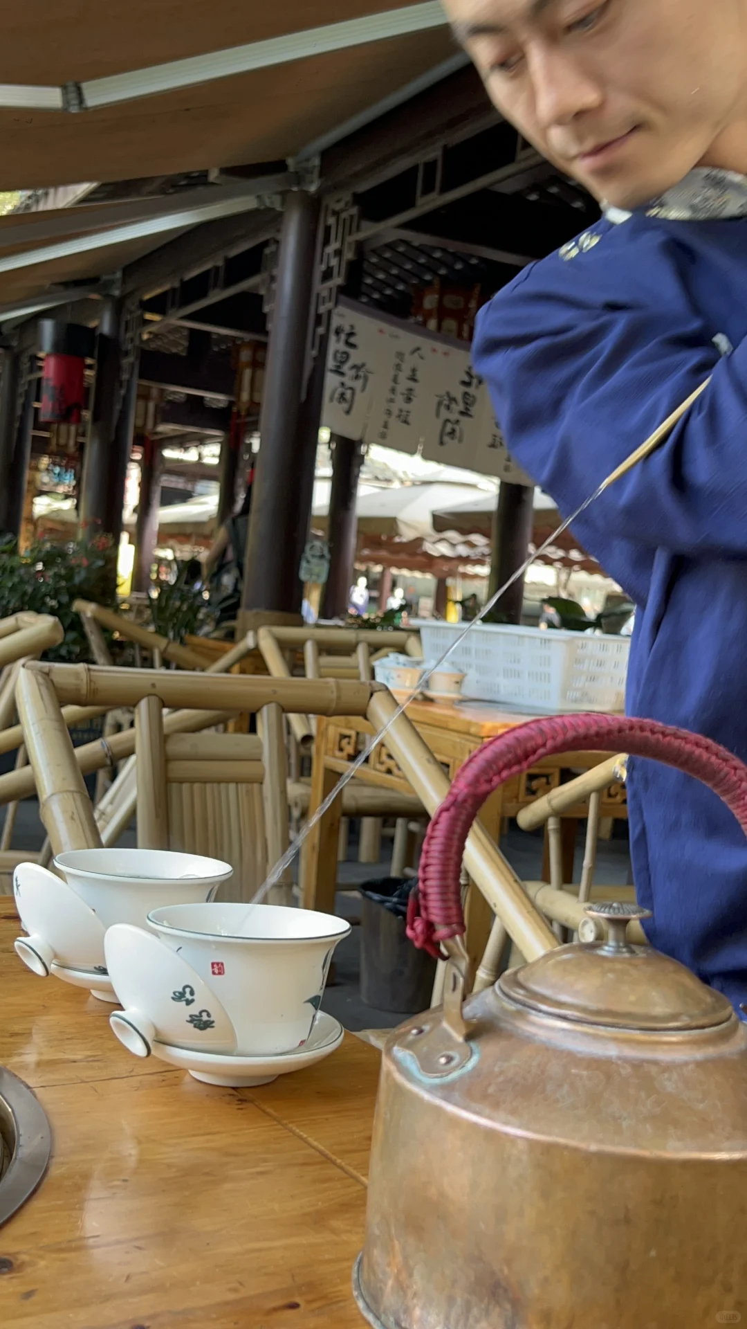 我在阳光下往返于春天