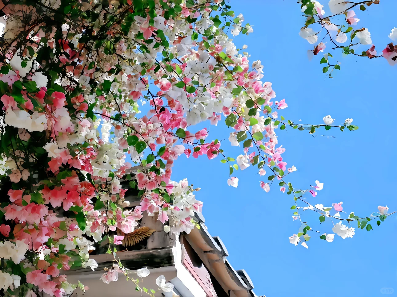 ipad 3D高清壁纸合集3.0