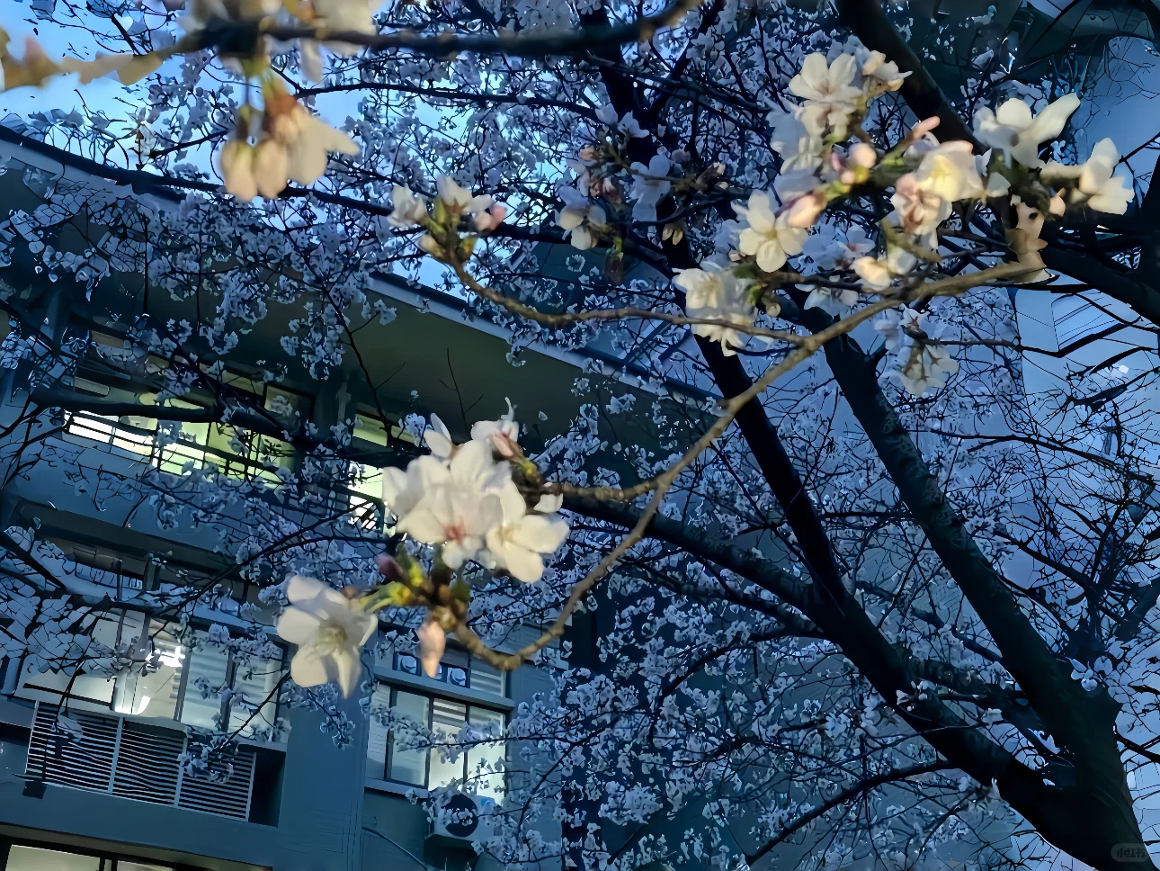 ipad 3D高清壁纸合集3.0