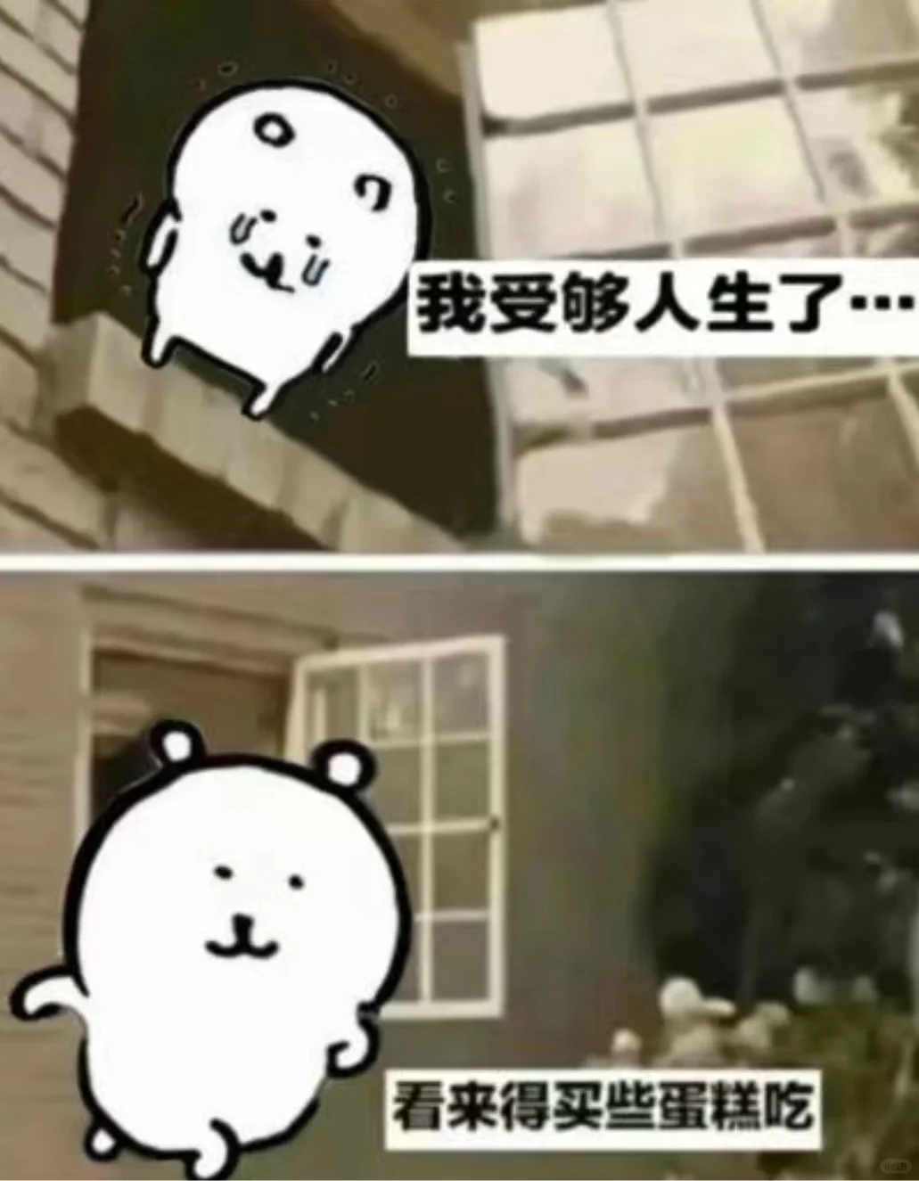 拍了一晚上只产出17s我实在是受不了